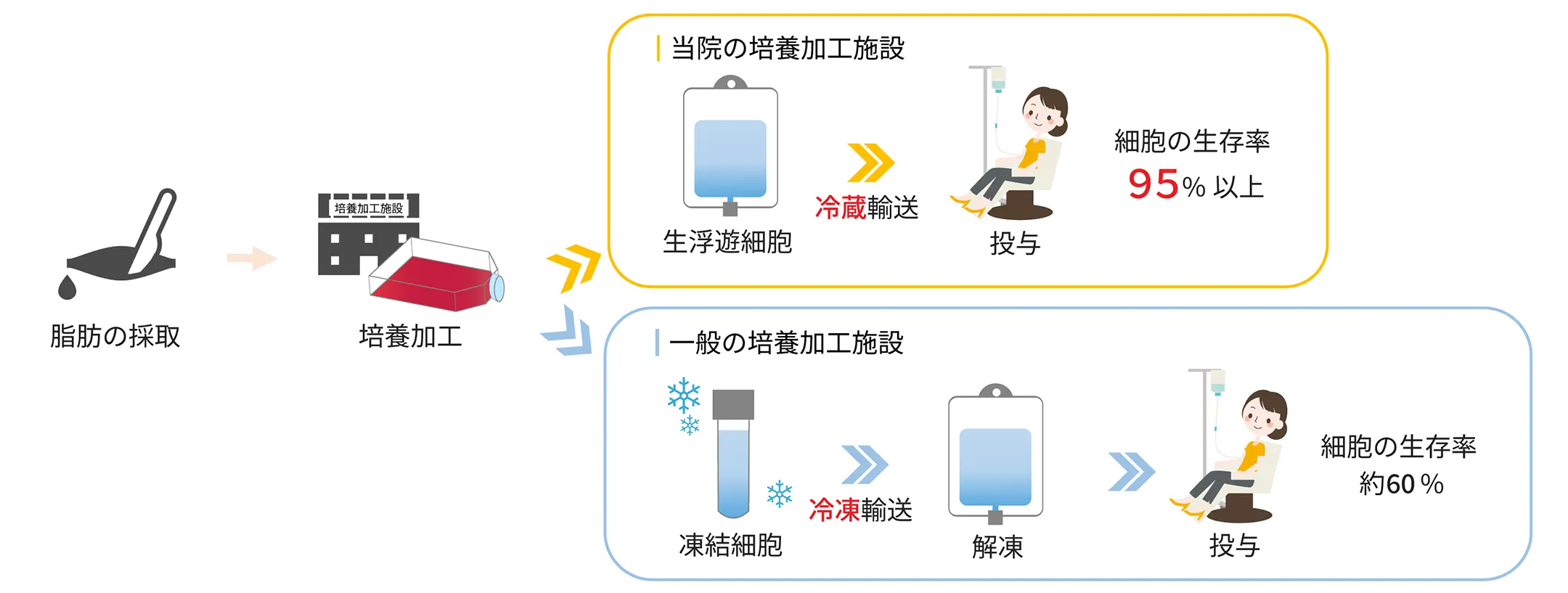 培養加工施設の違い図