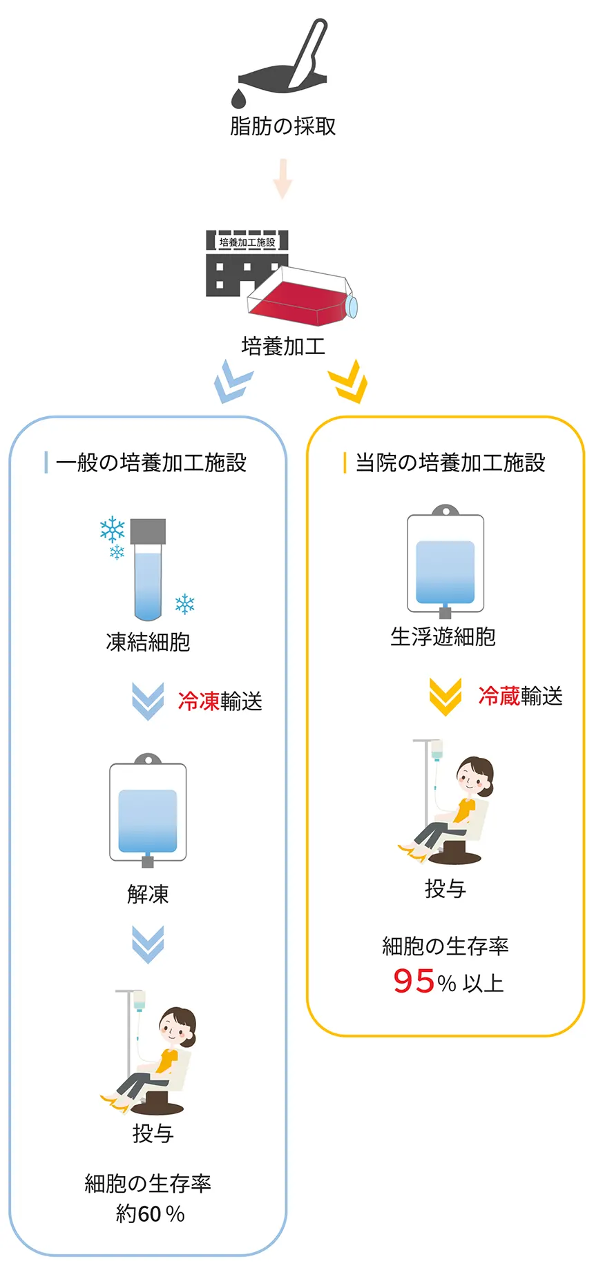 培養加工施設の違い図