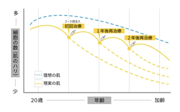 細胞の数と年齢の相関図